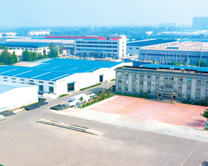 龙8头号玩家简介